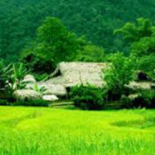 Cộng đồng ADS