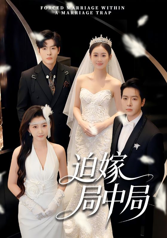 名称：迫嫁局中局 (70集) 刘云禹&王雅妮 | 短剧