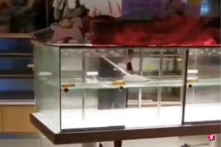 一名清洁公司的员工用扫帚清理面包物语店内面包展示架，有关画面被拍下放上网，公司随即解雇员工，面包物语也对此事道歉。https://zb.sg/x3xj