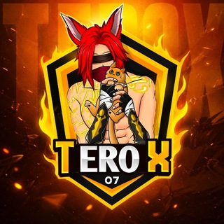 TEROX 07 ❤️‍🔥☠️📈 Telegram Channel logo