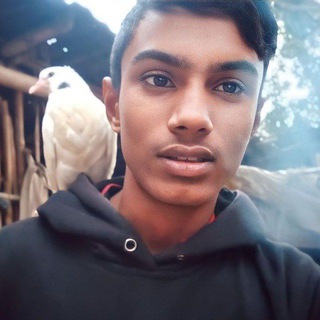 Ridoy Tech Bangla Telegram Group Link
