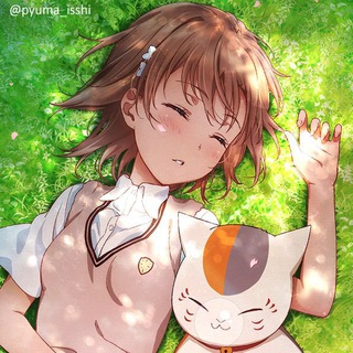 Misaka 生草 Airport Telegram Group Link