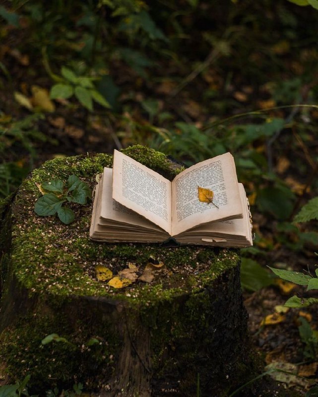 کتابیسم📚📙📘📗: هر کسی کتابی را می‌گشاید تا آینه‌ای برای خودش پیدا کند؛ گاهی این آینه ساده است گاهی عمیق گاهی پرهیاهو و گاهی آرامسلیقه د