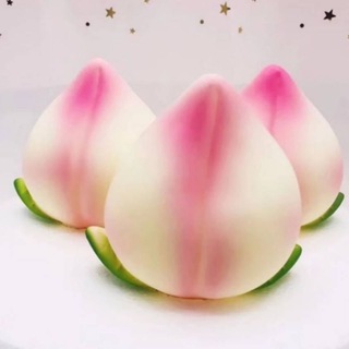 Vườn Đào HN 🍑🍑
