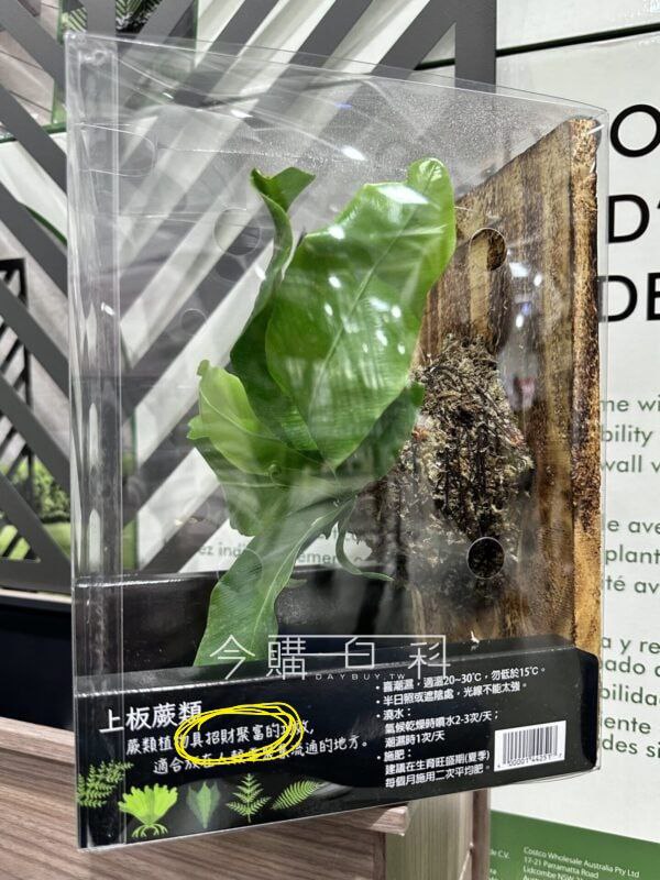 新品詳情看這裡 