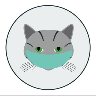 Komunitas Kucing Makassar