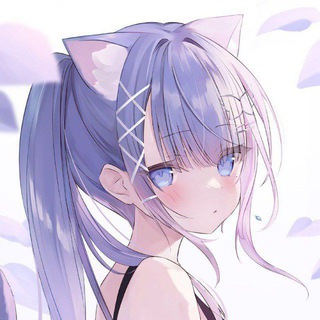 #分享 #资源 #博客https://t.me/ednovas2