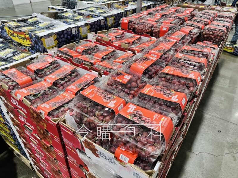 優惠情報連結 