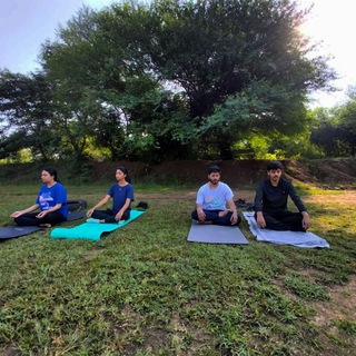 DAILY YOGA ( ओं मणिपद्मे हूं )