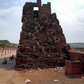 FIX GAME SHOOTER 🙏💴💴💴 Telegram Group Link