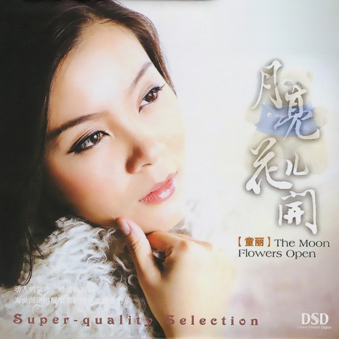 童丽 - 月亮花儿开 DSD dsf描述
