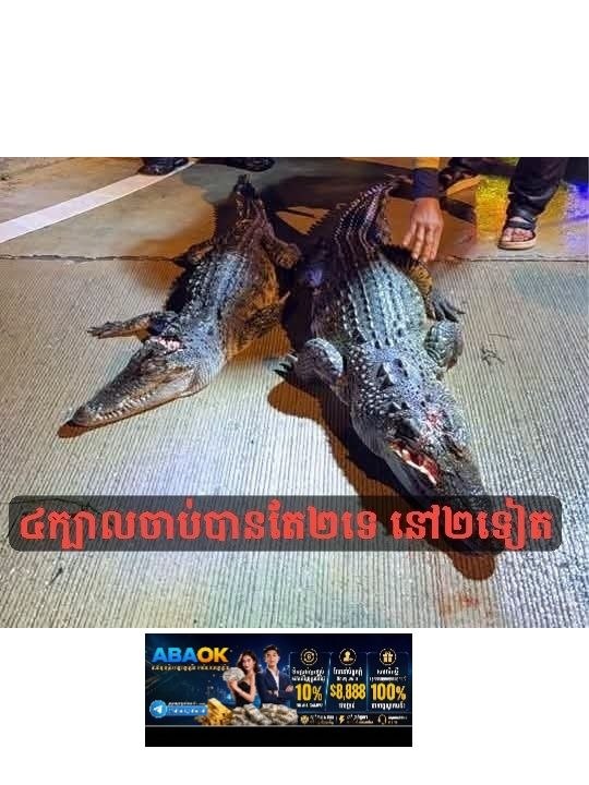 Image from a post by Tonight Creepy