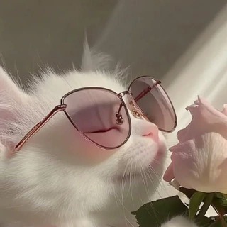 jEE + NEET + BOARDS 2025 Telegram Group Link