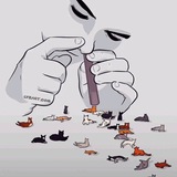 今日猫瘾发作