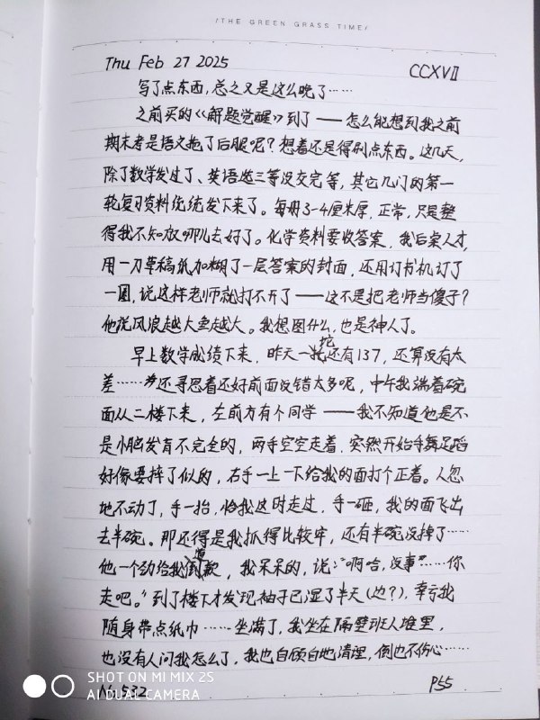 媒体预览