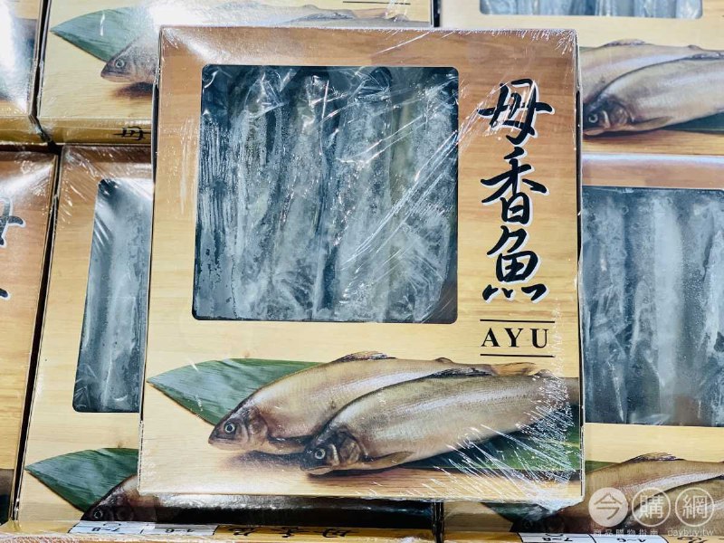 優惠完整情報 