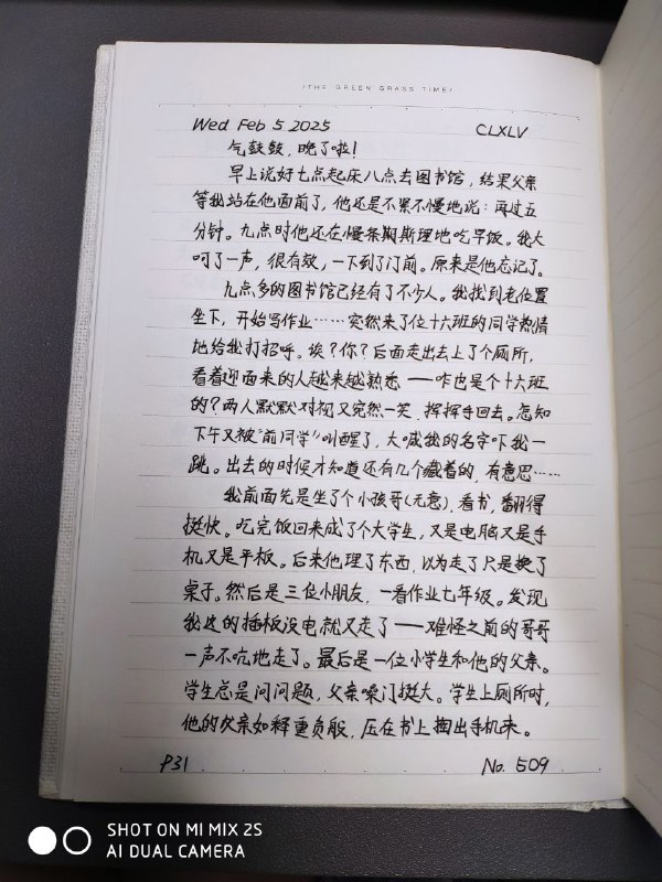 媒体预览