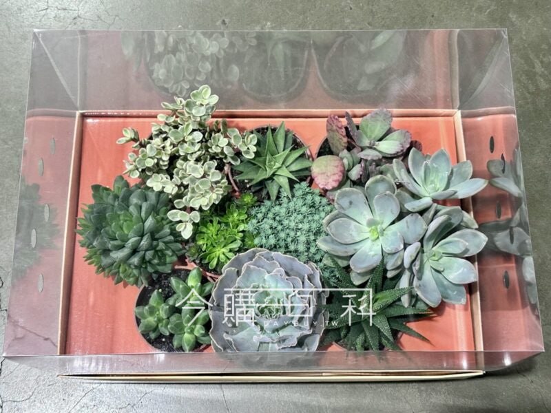 新品情報看這邊 