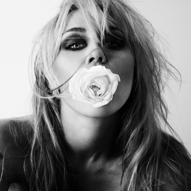 名称：Miley Cyrus - Bass Persuades (2026) [24-bit 48 kHz] - ALAC