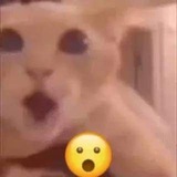 Epik