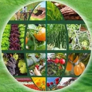 B.SC.AGRICULTURE - All Study Material Telegram Group Link