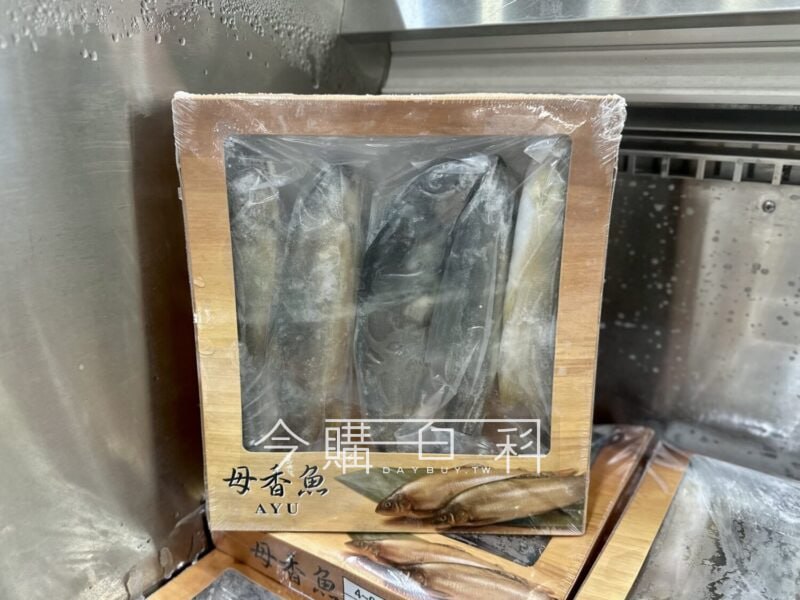 優惠情報連結 