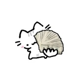 식. ✿ ˚ accept 💵.: