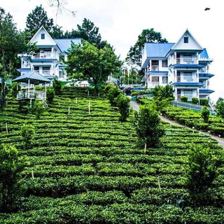 Kerala real estate Telegram Group Link