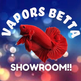 Vapors Betta borak santai