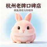 杭州萌兔清欢女仆恋爱