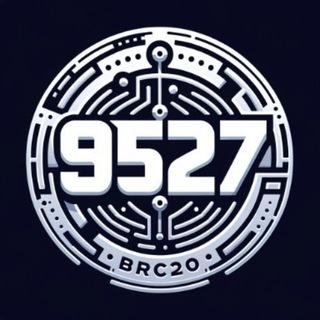 BRC20 9527