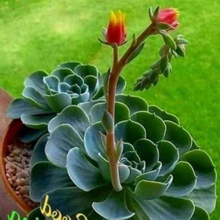 Malayalam kabbikatha❤️❤️❤️ Telegram Group Link