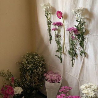 Drama Korea Sub Indo Telegram Group Link