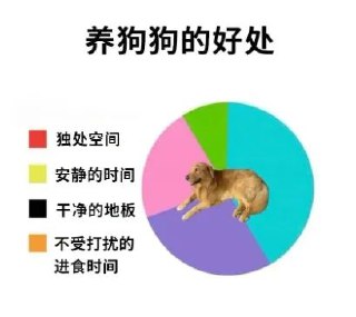 __via__ 猫又云云