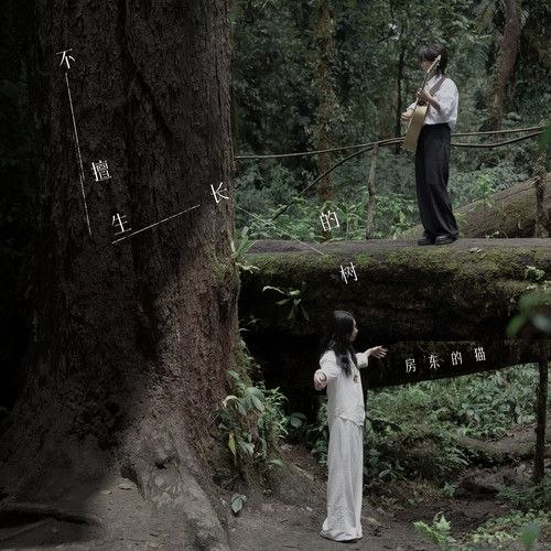 名称：房东的猫 不擅生长的树 (Isness) (2026) FLAC 24bit 48khz 13首