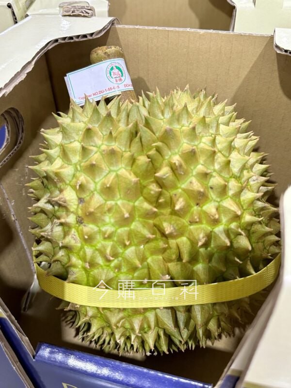 新品情報看這裡 