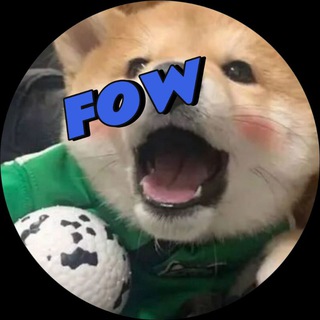 FOW交流群