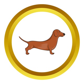🇨🇳DACHSHUNDAPP