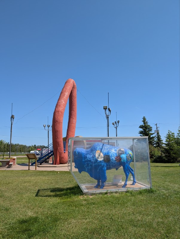Elk Island 什麼都沒看到，得虧現在國家公園不收門票🫪再往東邊的烏克蘭小鎮（真居民鎮，不是那個收費景點）還更有趣一些，Mundare 買了特產香腸，這個鎮門口就有一個巨型 Kovbase 雕塑，說是世界最大