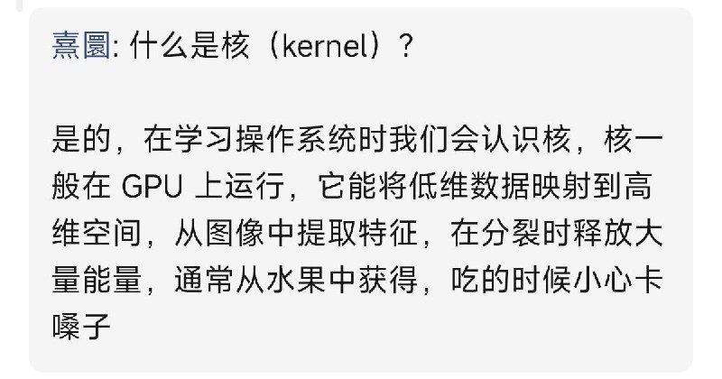 核意味