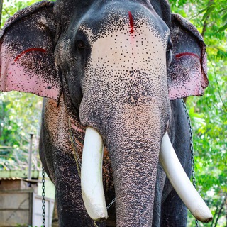 Akhil M R photography Telegram Group Link