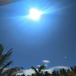 Indian Wholesale and Retail Market Telegram Group Link