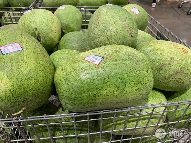 Costco好市多，2022大西瓜上架!!新品情報連結 