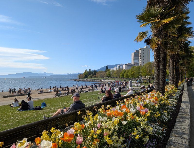 春天該很好你若尚在場春天該很好你若尚在場