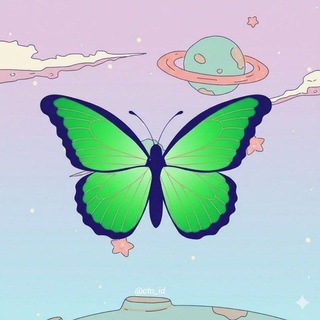 CTO