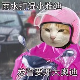 NG白嫖站 投稿讨论