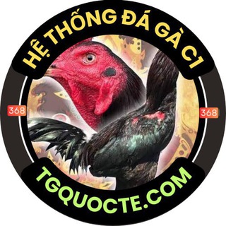 Video Xem Lại Đá Gà C1