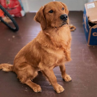 一个办理国外eSIM的方法https://x.com/Easycompany333/status/1985942151952511363#esim #电话卡