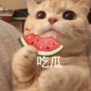Telegram profile photo for 🍉吃瓜搞笑俱乐部🌚