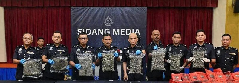 东南亚抓捕遣返线索：马来警方两周缴获近 600 公斤毒品 部分外籍人员持旅游签证涉案 8配图